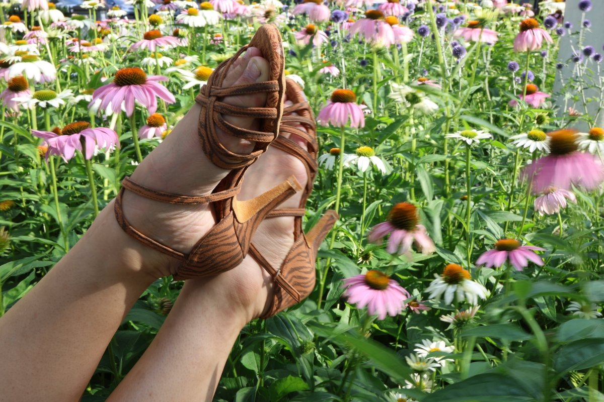 Tigery - Women's Latin / Salsa / Bachata Shoes - iLoveDanceShoes